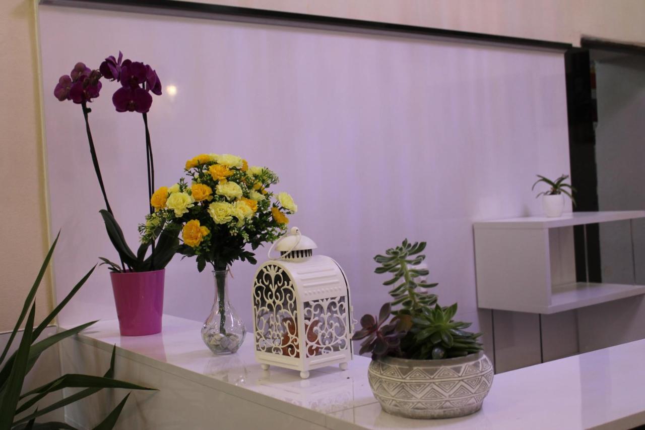 Pension Tv Planá Dış mekan fotoğraf